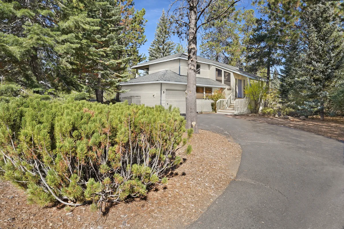 A tranquil exterior view of the house surrounded by tall trees, featuring a welcoming driveway and spacious outdoor areas that hint at immediate access to nature and adventure.